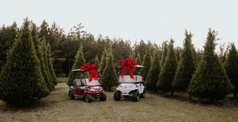 2 gifted golf cars
