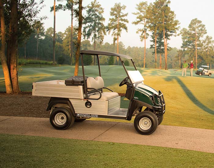 Carryall 550 Golf Turf